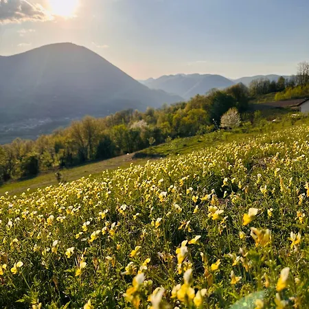 Proplanak Feriehus *