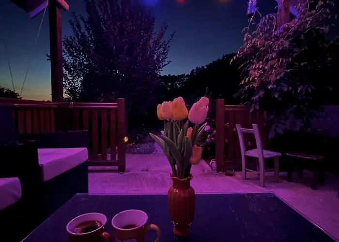 Proplanak * 이바니차